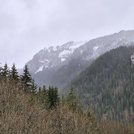 4 Pers Avec Parking Et Wifi - Fr-1-676-247 Châtel